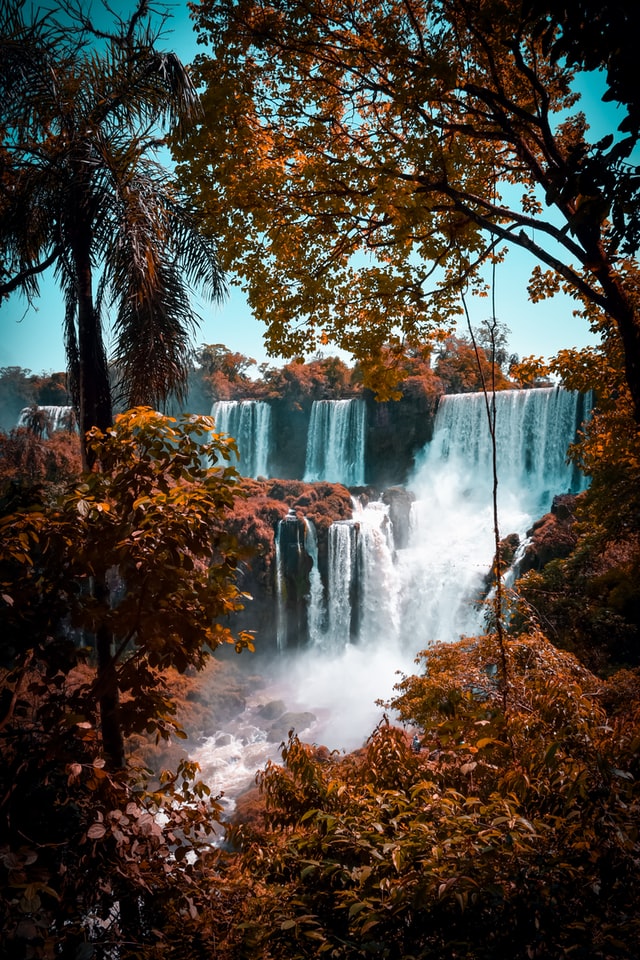 Image hover effect image